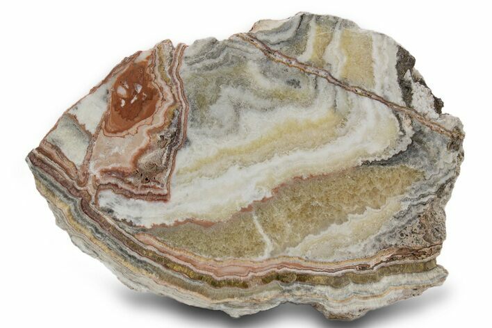 Polished Banded Travertine Slab - New Mexico #324328